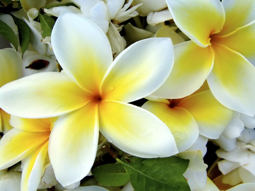 428250 (a): :1600x1200